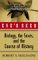 Eve's Seed : Biology, the Sexes, and the Course of History cover