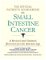 The Official Patient's Sourcebook On Small Intestine Cancer : Directory For The Internet Age cover