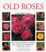 Old Roses cover