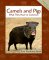 Camels and Pigs : What They Have in Common cover