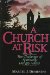 A Church at Risk : The Challenge of Spiritually Hungry Adults cover