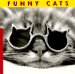 Funny Cats cover