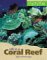  Life in a Coral Reef