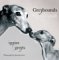 Greyhounds Big And Small : Iggies And Greyts cover