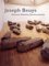 Joseph Beuys : Actions, Vitrines, Environments cover