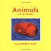 Animals : A First Art Book cover