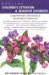 Healing Children's Attention & Behavior Disorders : Complementary Nutritional & Psychological Treatments cover