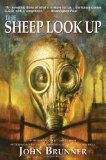 The Sheep Look Up [Click for larger image]