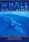 Whale Watching in Australian & New Zealand Waters cover