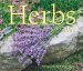 Herbs Calendar 2003 cover