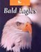 Bald Eagles cover