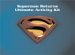  Superman Movie Ultimate Activity Set