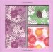 Dots & Jots Enclosure Cards cover