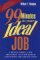 99 Minutes to Your Ideal Job cover