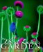 The Bird Lover's Garden cover