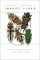 Insect Lives : Stories of Mystery and Romance from a Hidden World cover