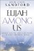 Elijah Among Us : Understanding and Responding to God's Prophets Today cover