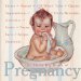 The Little Big Book of Pregnancy cover