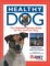 Healthy Dog : The Ultimate Fitness Guide for You and Your Dog cover