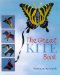 The Great Kite Book cover
