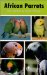 African Parrots cover
