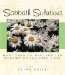 Sabbath Solutions : Over 300 Ways You Can Worship On The Lord's Day cover