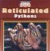 Reticulated Pythons cover