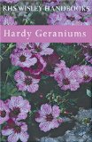 Hardy Geraniums [Click for larger image]
