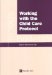 Working With Child Care Protocol cover
