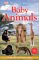 Baby Animals cover