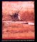 Variations in Time/Nathan Oliveira/Monotypes and Monoprints cover