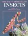 The Encyclopedia of Insects cover