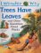I Wonder Why Trees Have Leaves : And Other Questions About Plants cover