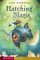 Hatching Magic cover
