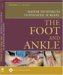 Master Techniques In Podiatric Surgery : The Foot And Ankle cover