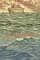 Preservationist cover