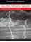  Fundamentals of Physics