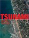 Tsunami : The World's Most Terrifying Natural Disaster cover