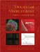 Molecular Microbiology : Diagnostic Principles and Practice cover