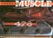 American Muscle cover