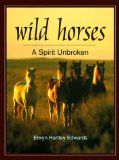 Wild Horses : A Spirit Unbroken [Click for larger image]