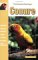 The Guide to Owning a Conure cover