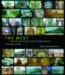 The West : From Dark Age to Enlightenment cover