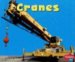 Cranes cover