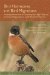 Bird Hormones And Bird Migrations : Analyzing Hormones in Droppings And Egg Yolks And Assessing Adaptations in Long-distance Migration cover
