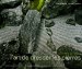 L'art De Dresser Les Pierres : Le Jardin Japonais, Permanence Et Invention, Les Enseignements Du Sakutei-Ki cover