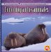 Como Migran Los Animales/ How Animals Migrate cover
