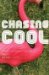 Chasing Cool : Examining the Pursuits of Your Heart cover