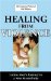 Healing from Violence : Latino Men's Journey to a New Masculinity cover