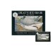 Great White Shark cover